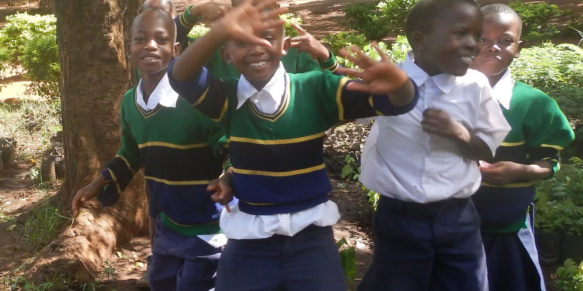 School children at their tree nursery in Tanzania School children at their tree nursery in Tanzania